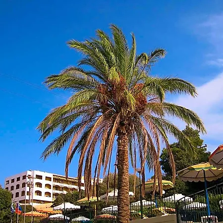 Romantza Mare Koskinou (Rhodes)